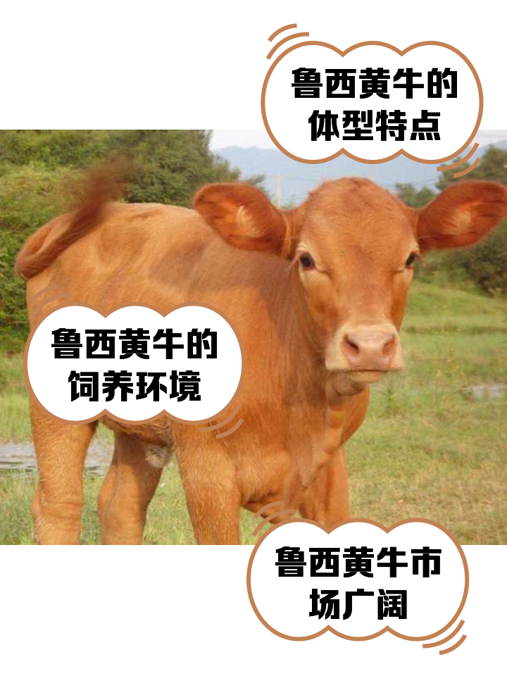 浙江最新医保取现黄牛方法分析(最方便真实的浙江医保取现黄牛怎么取方法)