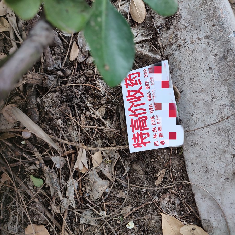 浙江最新24小时医保回收方法分析(最方便真实的浙江24小时医保回收什么意思方法)